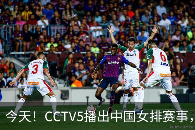 今天！CCTV5播出中国女排赛事，网络同步郑钦文征战美网等